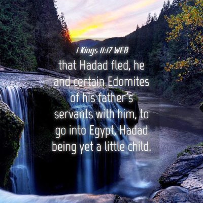 Picture 04 - 1 Kings 11:17 WEB - that Hadad fled, he and certain Edomites of his - Bible Verse Picture