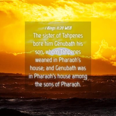 Picture 04 - 1 Kings 11:20 WEB - The sister of Tahpenes bore him Genubath his son, - Bible Verse Picture