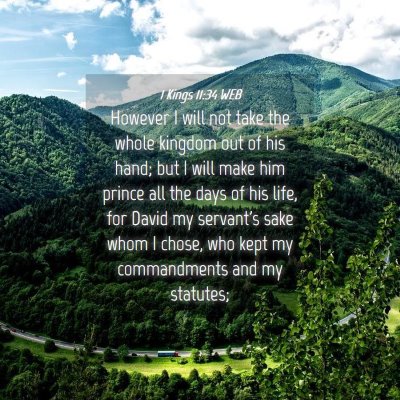 Picture 04 - 1 Kings 11:34 WEB - However I will not take the whole kingdom out of - Bible Verse Picture