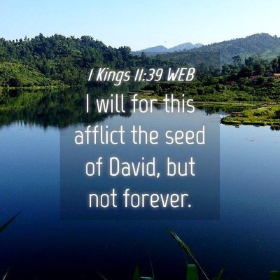 Picture 04 - 1 Kings 11:39 WEB - I will for this afflict the seed of David, but - Bible Verse Picture