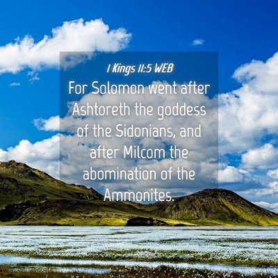 Picture 04 - 1 Kings 11:5 WEB - For Solomon went after Ashtoreth the goddess of - Bible Verse Picture