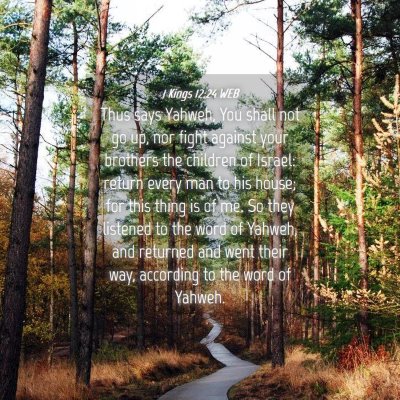 Picture 04 - 1 Kings 12:24 WEB - Thus says Yahweh, You shall not go up, nor fight - Bible Verse Picture