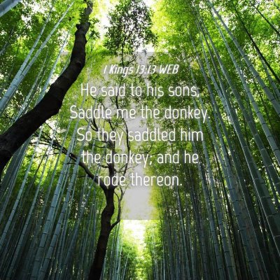 Picture 04 - 1 Kings 13:13 WEB - He said to his sons, Saddle me the donkey. So - Bible Verse Picture