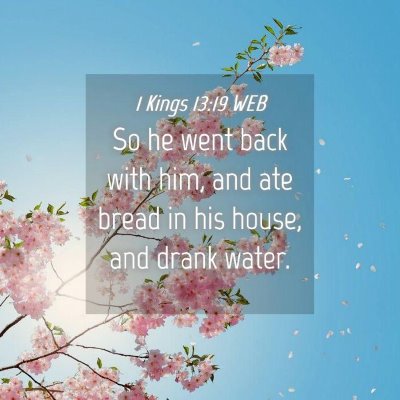 Picture 04 - 1 Kings 13:19 WEB - So he went back with him, and ate bread in his - Bible Verse Picture