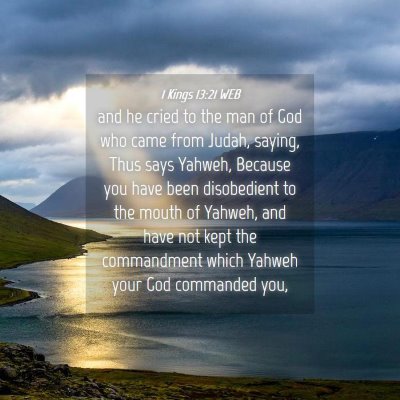 Picture 04 - 1 Kings 13:21 WEB - and he cried to the man of God who came from - Bible Verse Picture