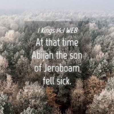Picture 04 - 1 Kings 14:1 WEB - At that time Abijah the son of Jeroboam fell - Bible Verse Picture
