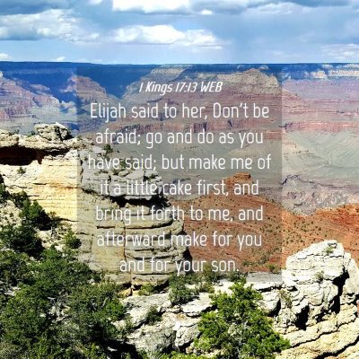 Picture 04 - 1 Kings 17:13 WEB - Elijah said to her, Don't be afraid; go and do as - Bible Verse Picture