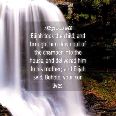 Picture 04 - 1 Kings 17:23 WEB - Elijah took the child, and brought him down out - Bible Verse Picture