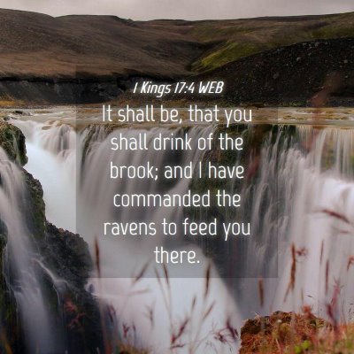 Picture 04 - 1 Kings 17:4 WEB - It shall be, that you shall drink of the brook; - Bible Verse Picture