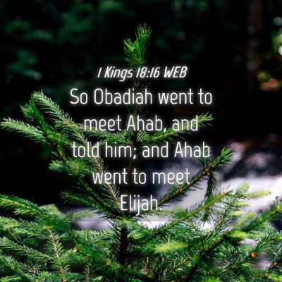 Picture 04 - 1 Kings 18:16 WEB - So Obadiah went to meet Ahab, and told him; and - Bible Verse Picture