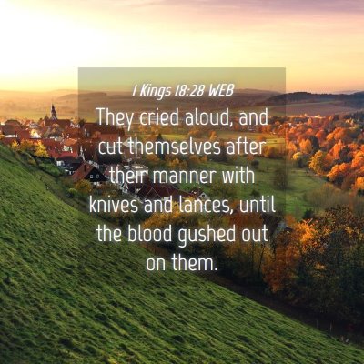 Picture 04 - 1 Kings 18:28 WEB - They cried aloud, and cut themselves after their - Bible Verse Picture