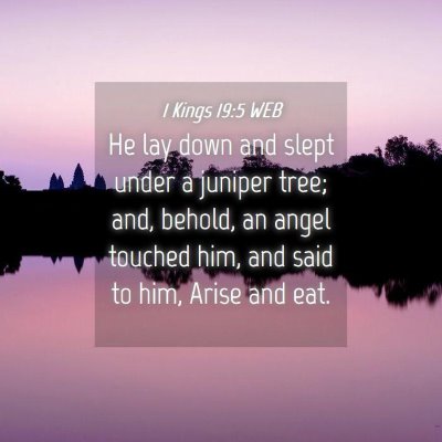 Picture 04 - 1 Kings 19:5 WEB - He lay down and slept under a juniper tree; and, - Bible Verse Picture
