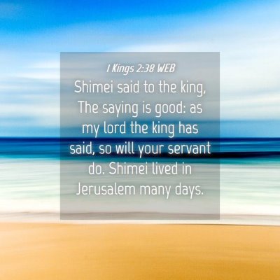 Picture 04 - 1 Kings 2:38 WEB - Shimei said to the king, The saying is good: as - Bible Verse Picture