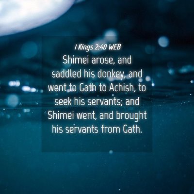 Picture 04 - 1 Kings 2:40 WEB - Shimei arose, and saddled his donkey, and went to - Bible Verse Picture