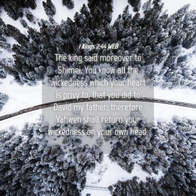 Picture 04 - 1 Kings 2:44 WEB - The king said moreover to Shimei, You know all - Bible Verse Picture