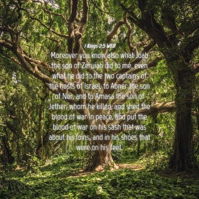 Picture 04 - 1 Kings 2:5 WEB - Moreover you know also what Joab the son of - Bible Verse Picture