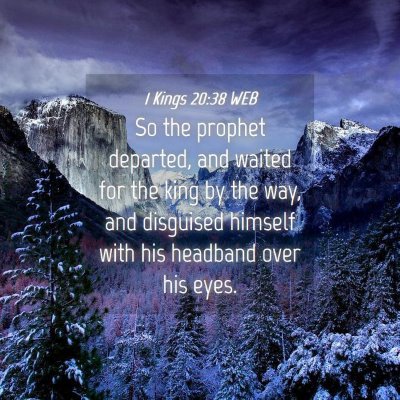 Picture 04 - 1 Kings 20:38 WEB - So the prophet departed, and waited for the king - Bible Verse Picture