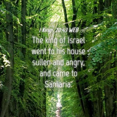Picture 04 - 1 Kings 20:43 WEB - The king of Israel went to his house sullen and - Bible Verse Picture