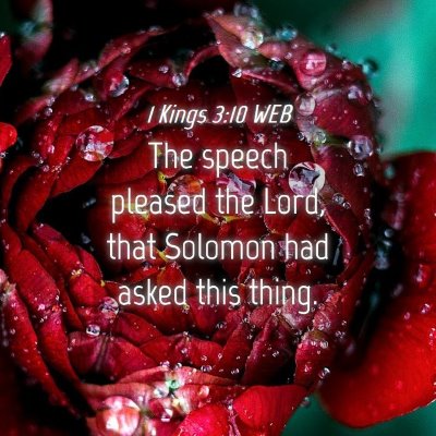Picture 04 - 1 Kings 3:10 WEB - The speech pleased the Lord, that Solomon had - Bible Verse Picture