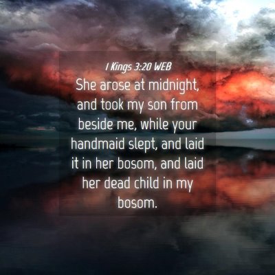 Picture 04 - 1 Kings 3:20 WEB - She arose at midnight, and took my son from - Bible Verse Picture