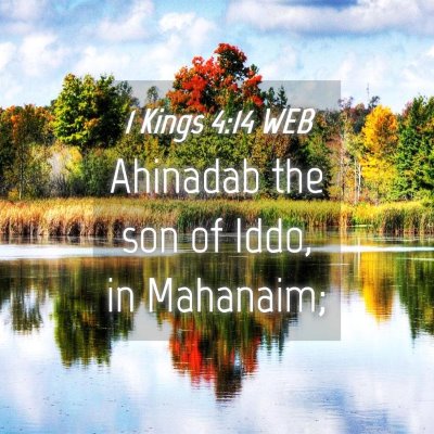 Picture 04 - 1 Kings 4:14 WEB - Ahinadab the son of Iddo, in - Bible Verse Picture
