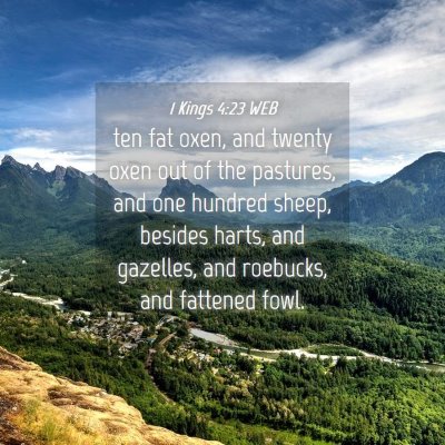Picture 04 - 1 Kings 4:23 WEB - ten fat oxen, and twenty oxen out of the - Bible Verse Picture
