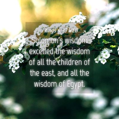 Picture 04 - 1 Kings 4:30 WEB - Solomon's wisdom excelled the wisdom of all the - Bible Verse Picture