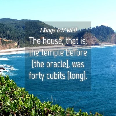 Picture 04 - 1 Kings 6:17 WEB - The house, that is, the temple before [the - Bible Verse Picture