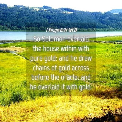 Picture 04 - 1 Kings 6:21 WEB - So Solomon overlaid the house within with pure - Bible Verse Picture