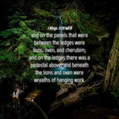 Picture 04 - 1 Kings 7:29 WEB - and on the panels that were between the ledges - Bible Verse Picture