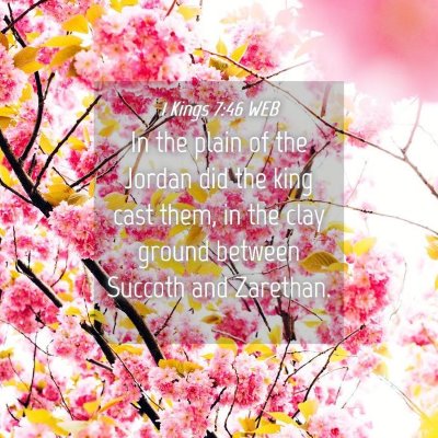 Picture 04 - 1 Kings 7:46 WEB - In the plain of the Jordan did the king cast - Bible Verse Picture
