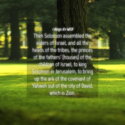 Picture 04 - 1 Kings 8:1 WEB - Then Solomon assembled the elders of Israel, and - Bible Verse Picture