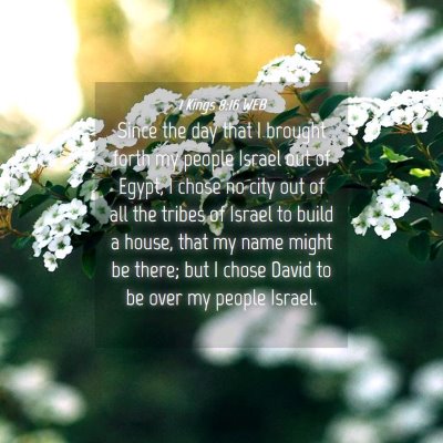 Picture 04 - 1 Kings 8:16 WEB - Since the day that I brought forth my people - Bible Verse Picture