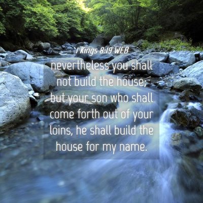 Picture 04 - 1 Kings 8:19 WEB - nevertheless you shall not build the house; but - Bible Verse Picture