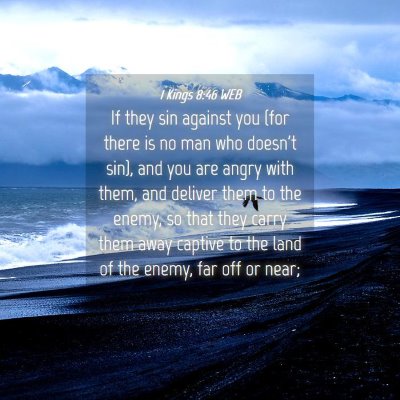 Picture 04 - 1 Kings 8:46 WEB - If they sin against you (for there is no man who - Bible Verse Picture