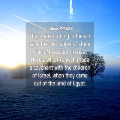 Picture 04 - 1 Kings 8:9 WEB - There was nothing in the ark save the two tables - Bible Verse Picture