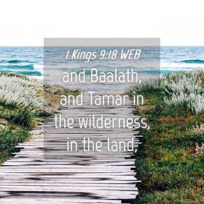 Picture 04 - 1 Kings 9:18 WEB - and Baalath, and Tamar in the wilderness, in the - Bible Verse Picture