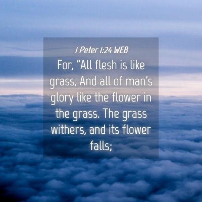 Picture 04 - 1 Peter 1:24 WEB - For, 