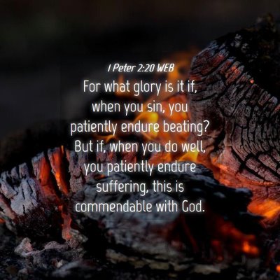 Picture 04 - 1 Peter 2:20 WEB - For what glory is it if, when you sin, you - Bible Verse Picture