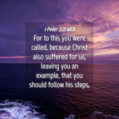 Picture 04 - 1 Peter 2:21 WEB - For to this you were called, because Christ also - Bible Verse Picture