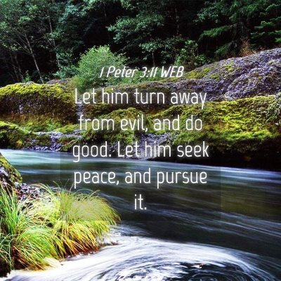 Picture 04 - 1 Peter 3:11 WEB - Let him turn away from evil, and do good. Let him - Bible Verse Picture