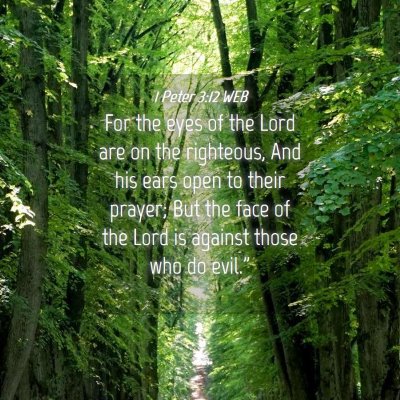 Picture 04 - 1 Peter 3:12 WEB - For the eyes of the Lord are on the righteous, - Bible Verse Picture