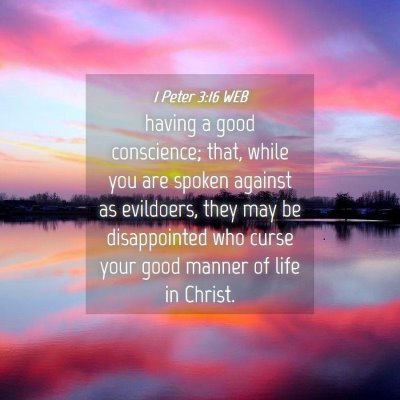 Picture 04 - 1 Peter 3:16 WEB - having a good conscience; that, while you are - Bible Verse Picture