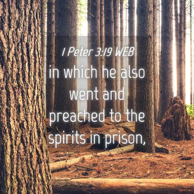 Picture 04 - 1 Peter 3:19 WEB - in which he also went and preached to the spirits - Bible Verse Picture
