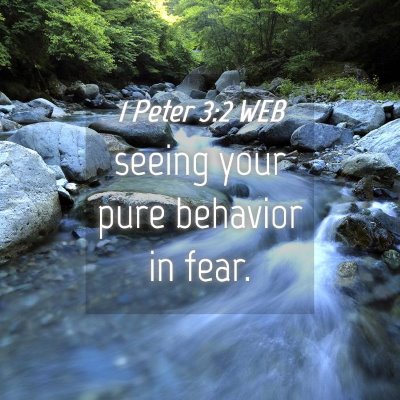 Picture 04 - 1 Peter 3:2 WEB - seeing your pure behavior in - Bible Verse Picture