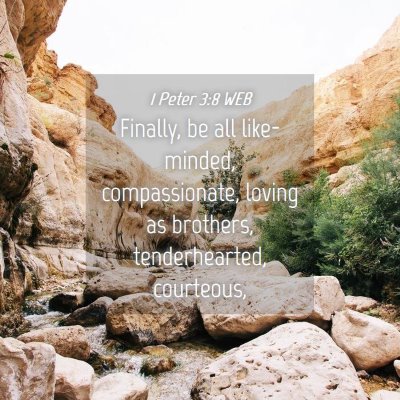 Picture 04 - 1 Peter 3:8 WEB - Finally, be all like-minded, compassionate, - Bible Verse Picture