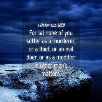 Picture 04 - 1 Peter 4:15 WEB - For let none of you suffer as a murderer, or a - Bible Verse Picture