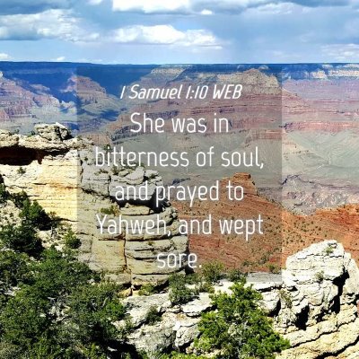 Picture 04 - 1 Samuel 1:10 WEB - She was in bitterness of soul, and prayed to - Bible Verse Picture