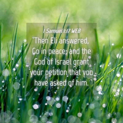Picture 04 - 1 Samuel 1:17 WEB - Then Eli answered, Go in peace; and the God of - Bible Verse Picture