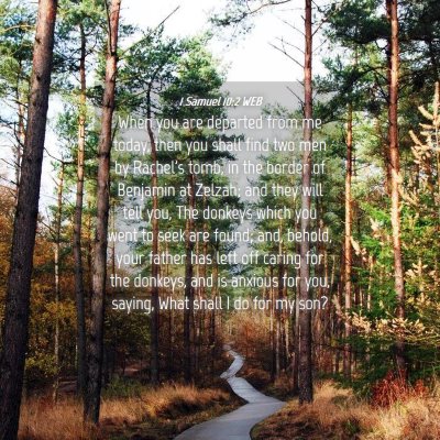 Picture 04 - 1 Samuel 10:2 WEB - When you are departed from me today, then you - Bible Verse Picture